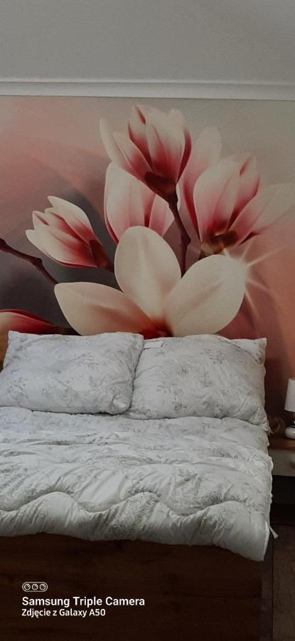Apartamenty U Iwony Centrum Miasta Blisko Parku Zdrojowego Kudowa Zdroj Exterior photo